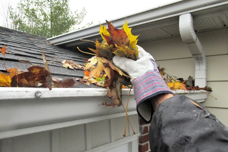 Lynnwood Gutter Service