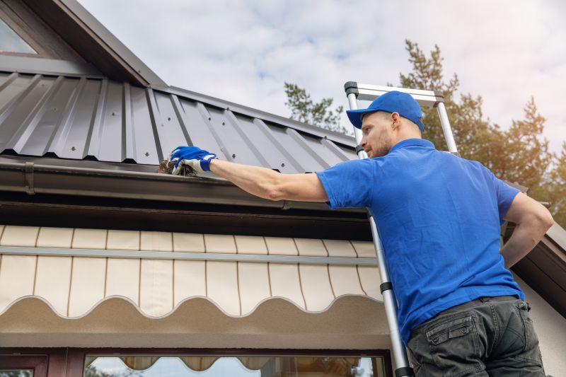 Gutter Cleaning and Maintenance